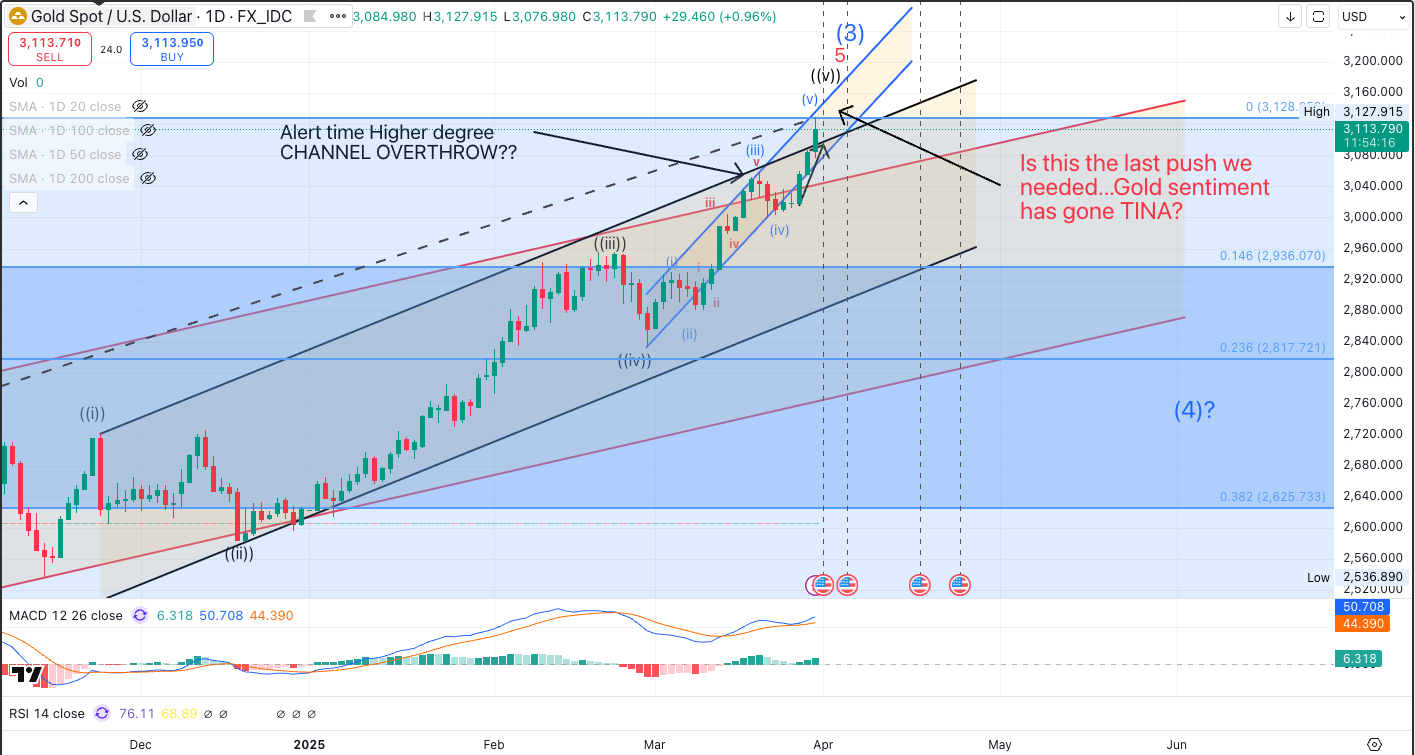 Gold daily chart showing price pressing into upper channel resistance near record highs, with annotations questioning a final blowoff move versus a higher-degree corrective turning point.