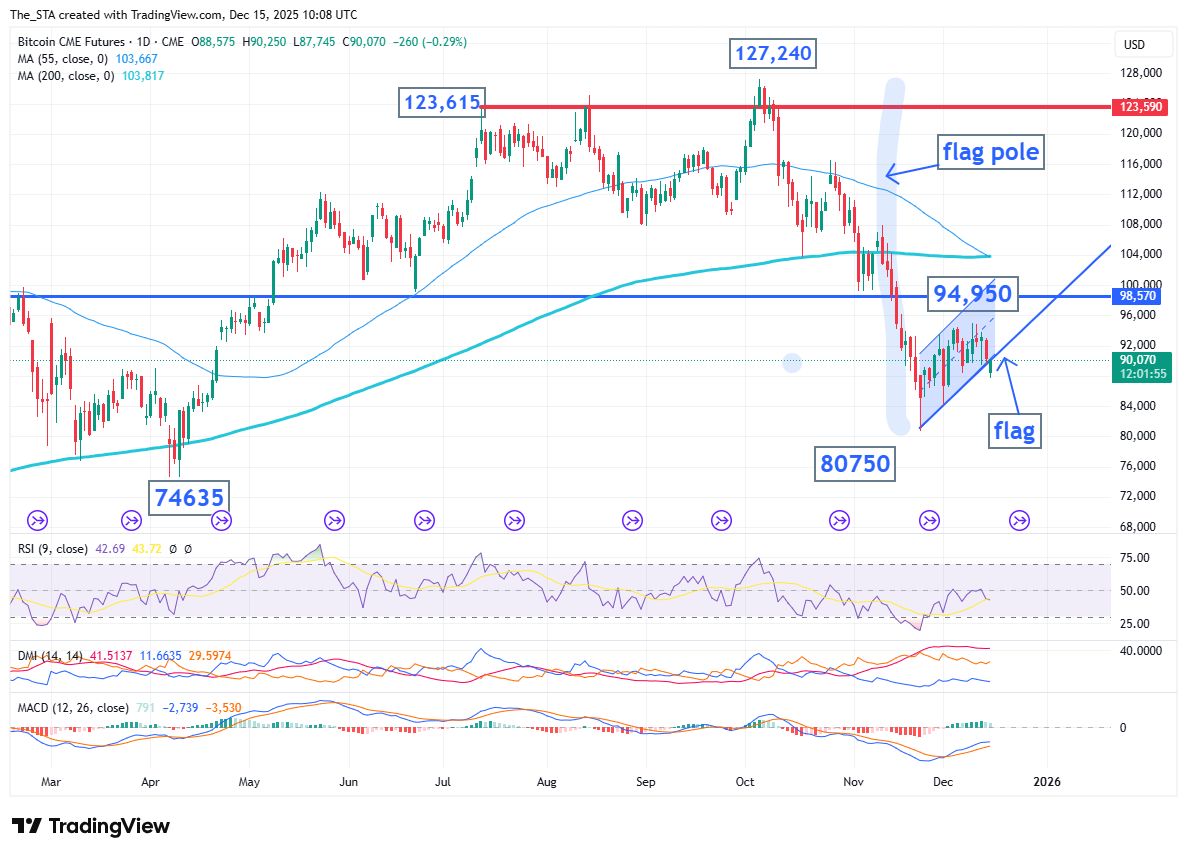  BTC flag bear
