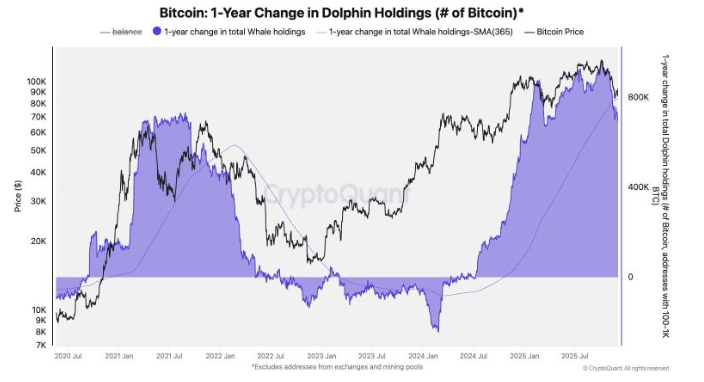 Bitcoin dolphins